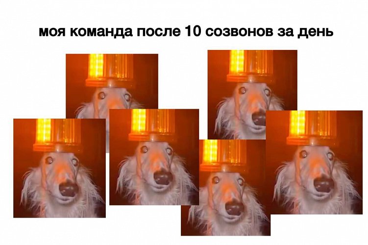 7 инсайтов про управление командой, которые я хотел бы знать раньше