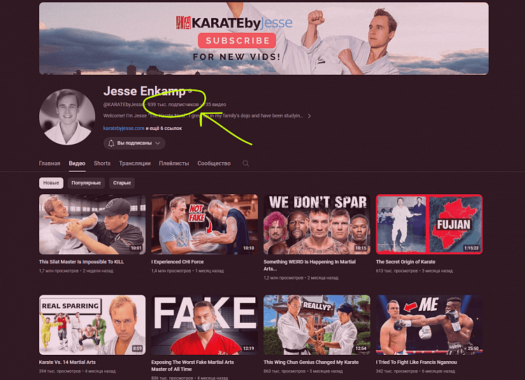Канал каратиста Jesse Enkamp – под миллион подписчиков