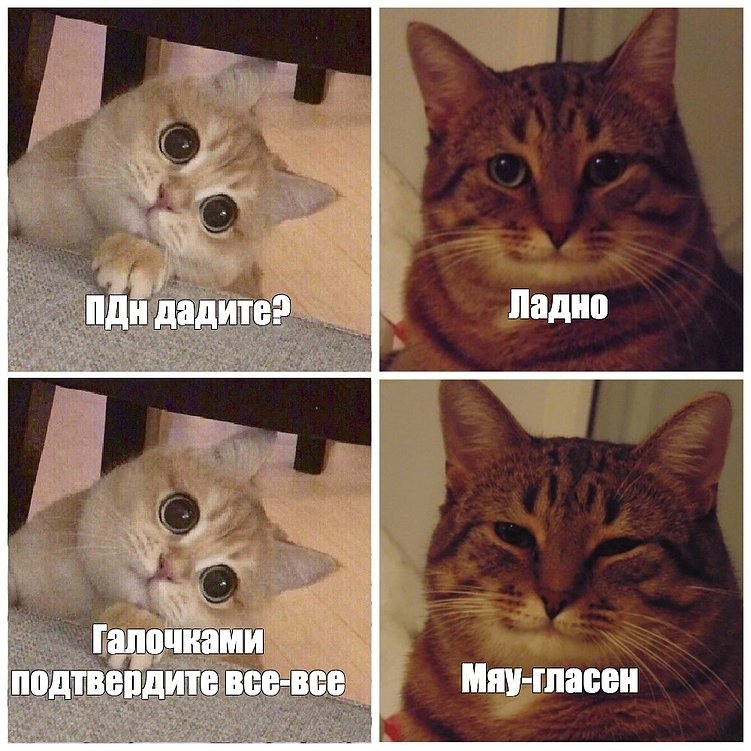 Все о персональных данных: как собирать, обрабатывать и хранить