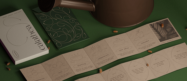 Как упаковка влияет на продвижение товара: ключевая роль и значимость