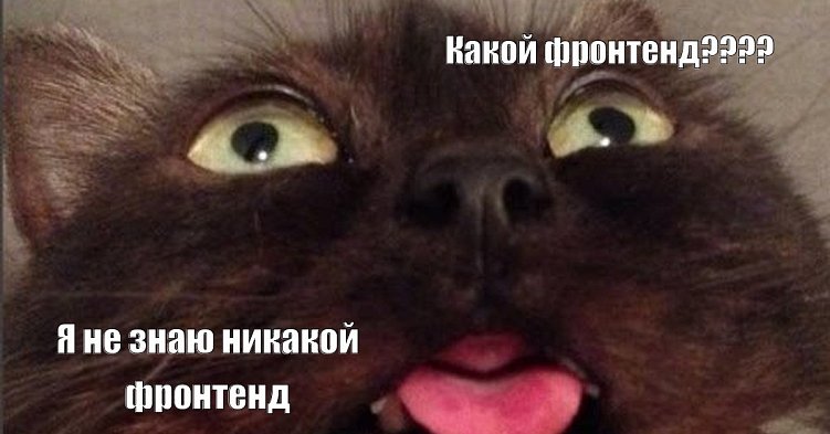 5 советов, которые бы мы хотели услышать, если бы сами заказывали разработку сайта