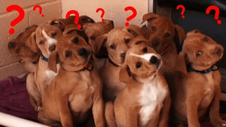 У нас много вопросов)))