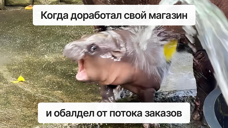 Развитие и доработка интернет-магазина: на что обратить внимание?