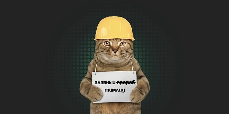 Инвестиции в своих: как вырастить сильного тимлида и не искать его на рынке