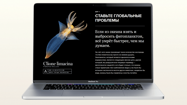 Зачем бизнесу нужен лонгрид и как его написать