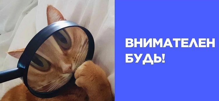 Чужие ошибки как источник опыта — юрразбор закона о рекламе