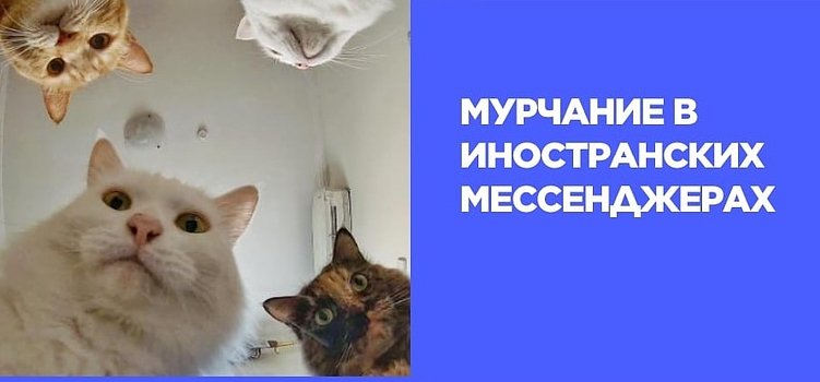 Новые правки и свежие комментарии юристов по закону о рекламе