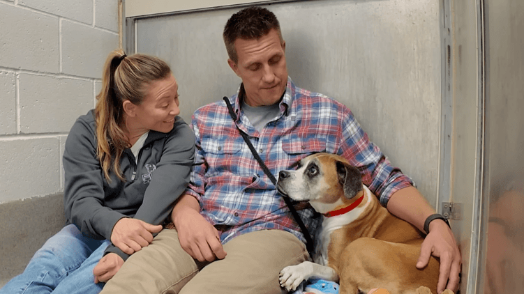 Эмоциональная коммуникация брендов: как «тёплые» истории строят доверие и вовлеченность