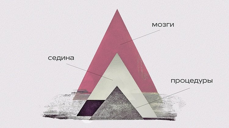 Типы проектов в классификации Дэвида Майстера: седина, мозги и процедуры