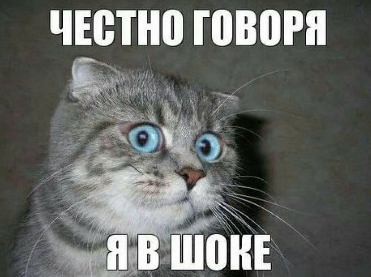 5 стадий принятия или как мы снизили стоимость лида по задвижкам с Директа в 3,5 раз