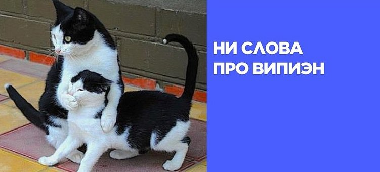 Новые правки и свежие комментарии юристов по закону о рекламе