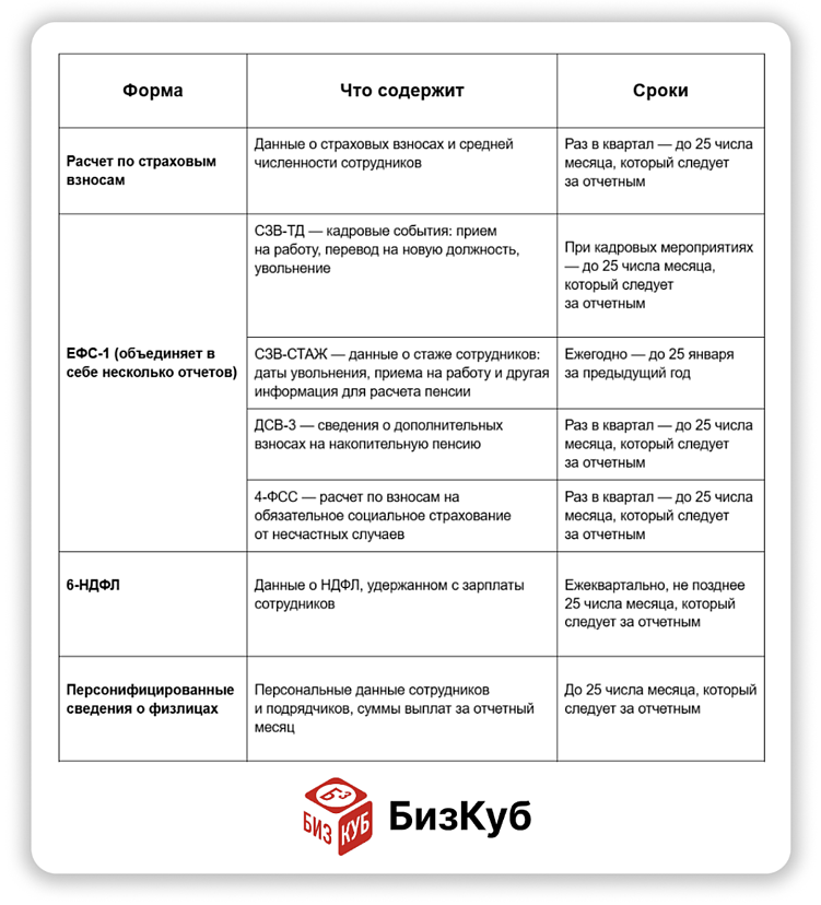 Как ИП представлять отчетность в 2025 году: порядок и сроки