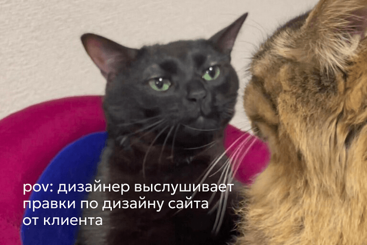 Что делать, если заплатил за дизайн сайта, а он не нравится