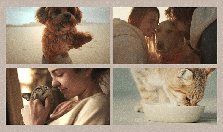 Как превратить видеоконтент в стратегический инструмент