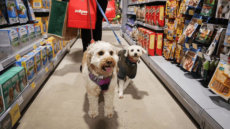 Не только AI: ключевые тренды в цифровых решениях для ритейла на 2025 год