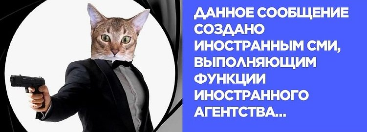 Как нарушают закон о рекламе: учимся на ошибках бизнеса