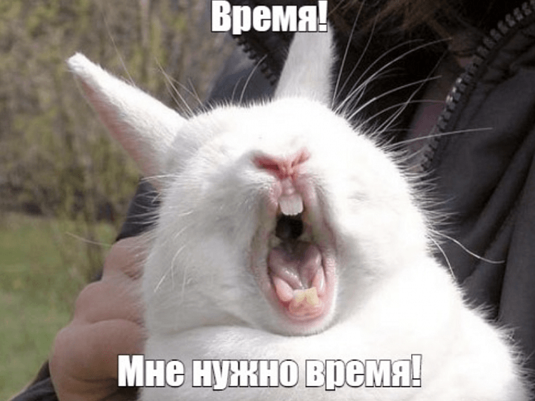 Всё, что вы хотели узнать, но боялись спросить у SEO-специалистов