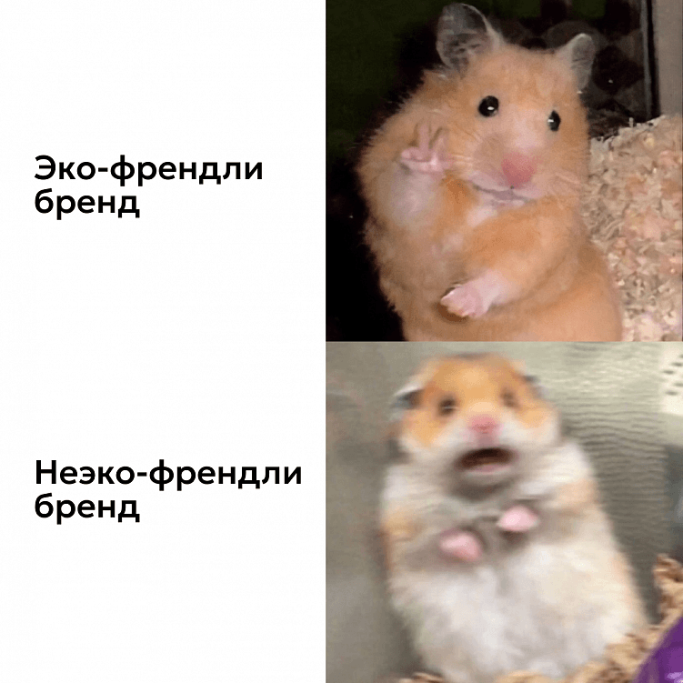 Грин-маркетинг: почему экологичность перестала быть «модой» и стала инструментом продвижения