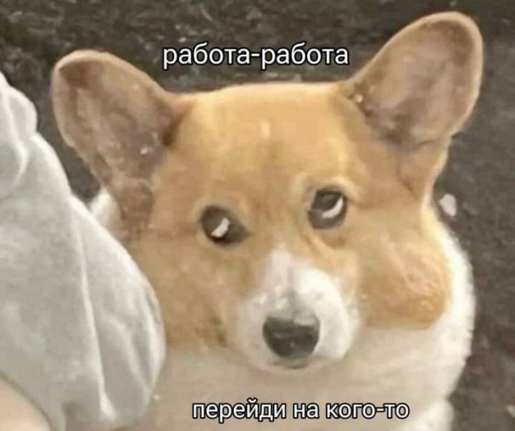 7 инсайтов про управление командой, которые я хотел бы знать раньше