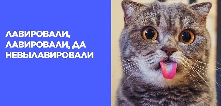 Как нарушают закон о рекламе: учимся на ошибках бизнеса