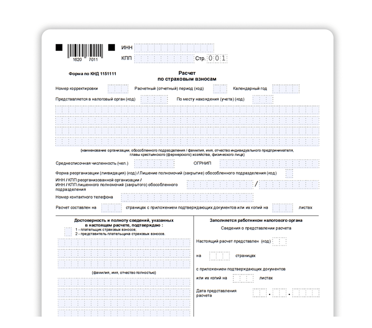 Электронная отчётность для ООО и ИП: в чем отличие, как и куда подавать