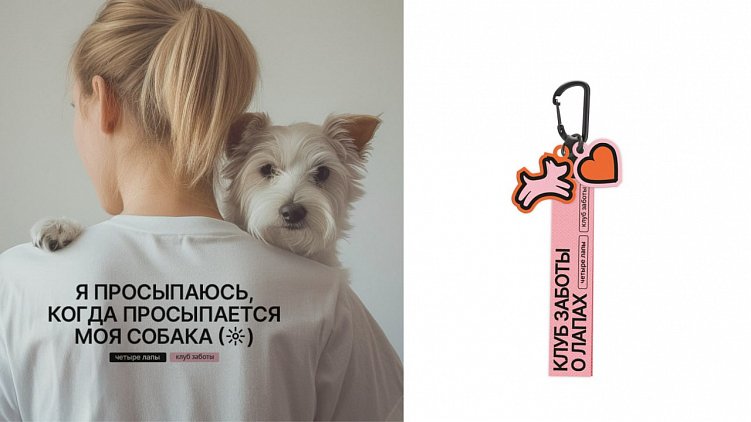 Фирменный стиль, айдентика, брендинг — что выбрать