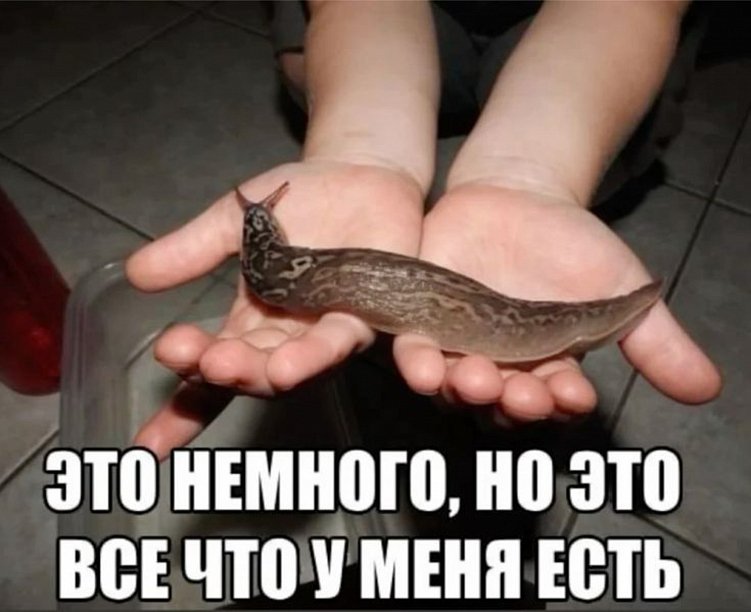 Сила коллабораций: как партнёрства помогают малым бизнесам расти