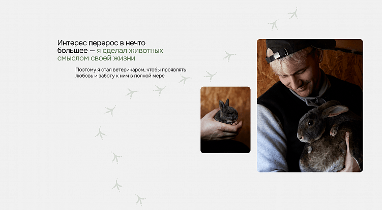 Экзосайт и фирстиль для Exzobird. Как через личный бренд создали доверие клиентов