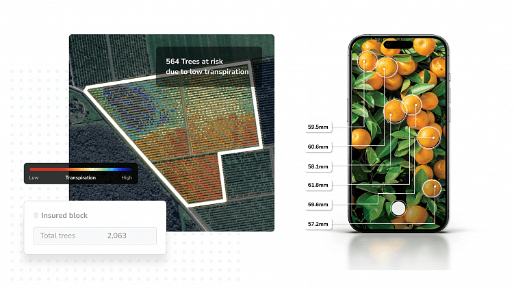 Система Aerobotics интегрирует GPS-навигацию и системы орошения для автоматического управления поливом. Размер фруктов оценивается автоматически и попадает в сводную статистику с визуализацией по полям. 