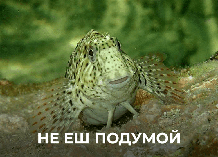 Сайт портовый, кейс фартовый: как сделать современный сайт для торгового порта