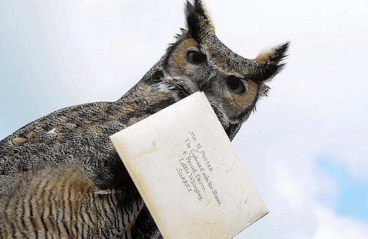 источник фото: mavink.com