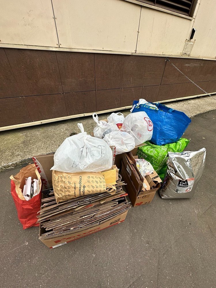 Как организовать раздельный сбор мусора в вашем офисе и зачем вводить экопривычки