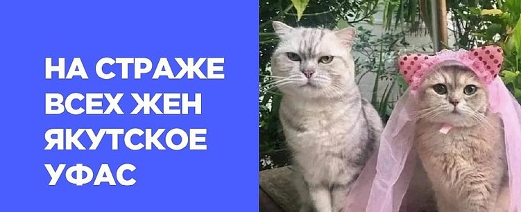 Как нарушают закон о рекламе: учимся на ошибках бизнеса