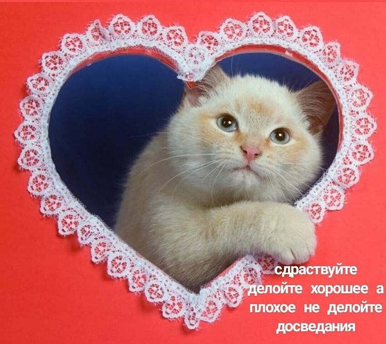 Как зайти с креативом в «ту дверь»? Как создать «правильную» концепцию рекламной кампании.