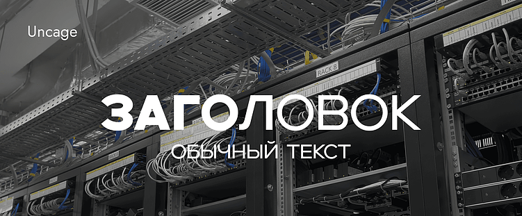 Тренды брендинга 2026: Какие шрифты будут захватывать внимание?