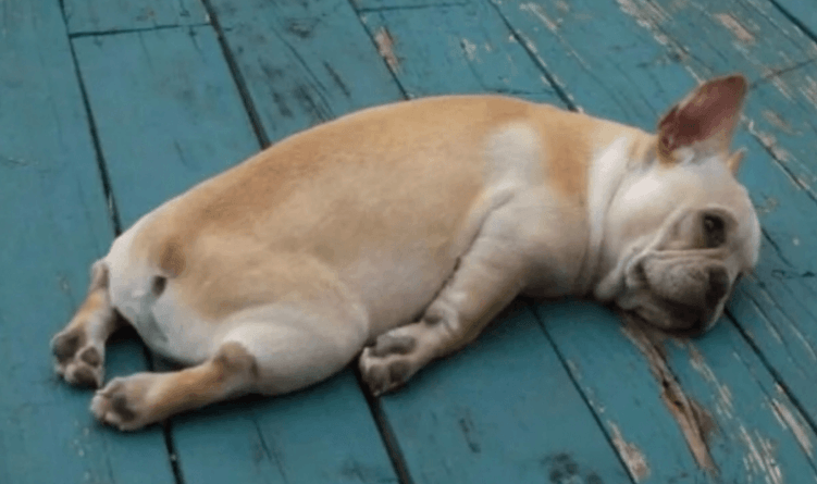 Рекомендации по созданию сайта с учетом SEO