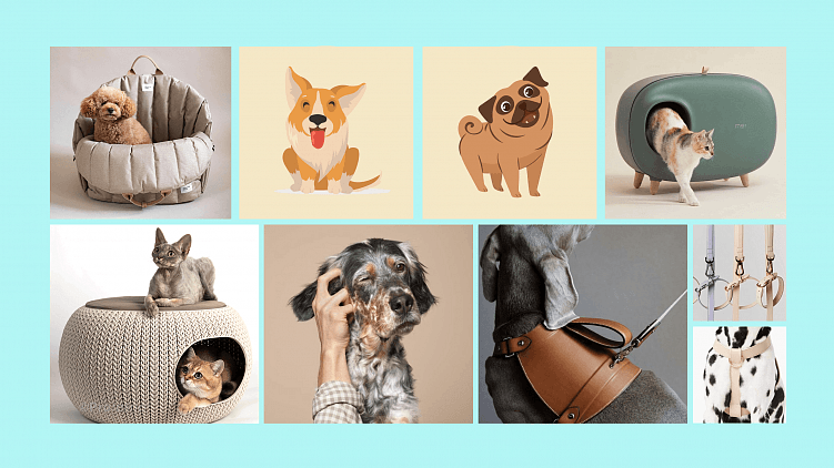 SMM-стратегия: разбираем поэтапно на примере товаров для домашних животных