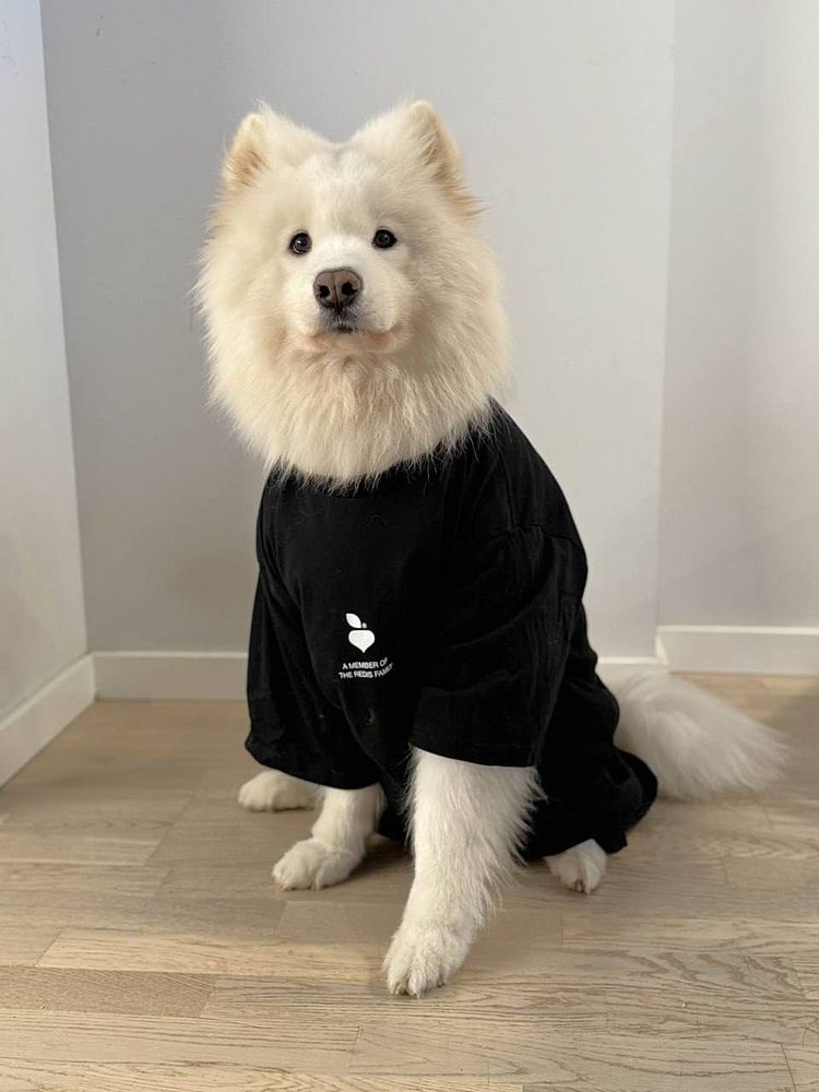 Культура мерча: как компании подходят к выбору «той самой» одежды (и не только)