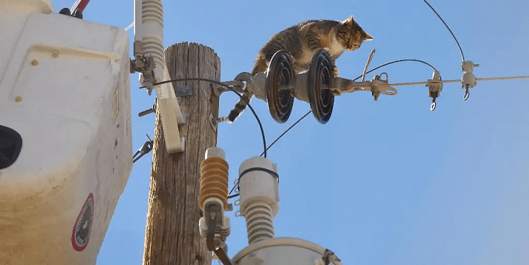 Кому нужны экзамены сотрудников по электробезопасности?