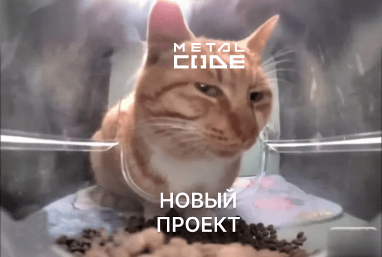 Как принять проект на техническую поддержку? Делимся нашим процессом входа в новый проект.