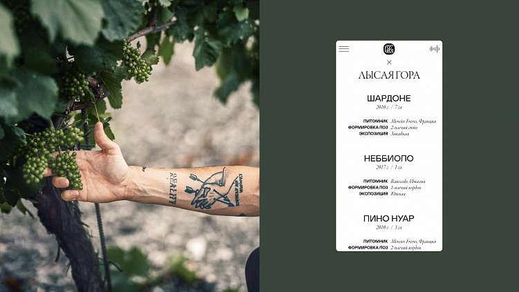 Воплощаем смелые идеи в реальность через код: как мы разрабатываем цифровые продукты