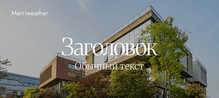 Тренды брендинга 2026: Какие шрифты будут захватывать внимание?