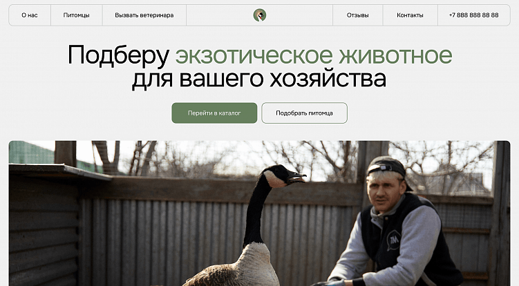 Экзосайт и фирстиль для Exzobird. Как через личный бренд создали доверие клиентов