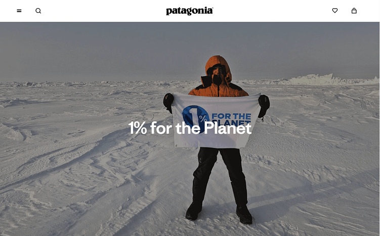 Скриншот с сайта patagonia.com