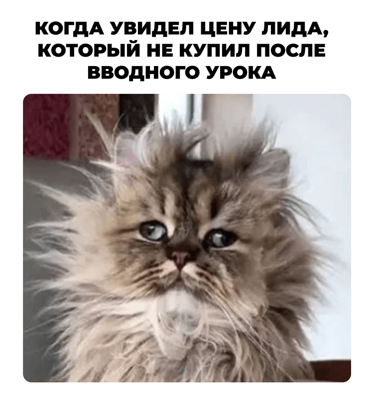 Воронка сработала, а денег нет: где онлайн-образование теряет выручку после вводного урока