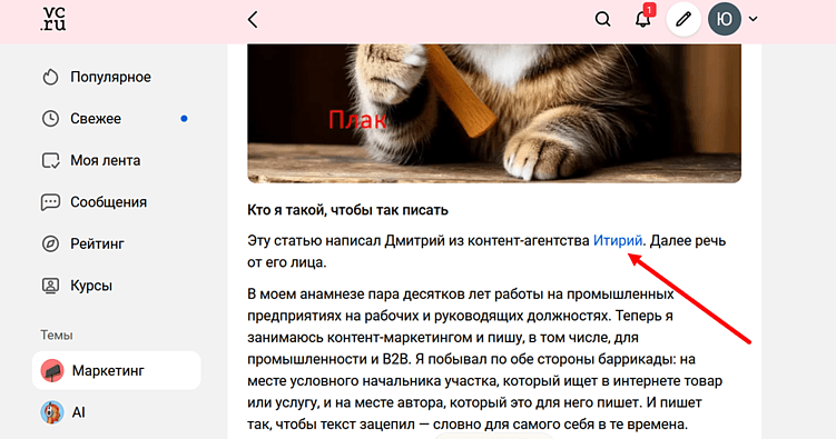 Если поставить ссылку на
свой сайт, например, с сайта Бизнес Секретов или VC.ru — это сигнал для
поисковиков. Значит, сайт авторитетен