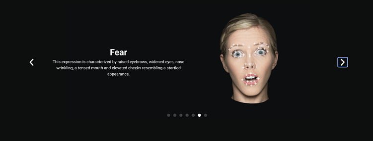 Источник: https://www.realeyesit.com/technology/emotion/