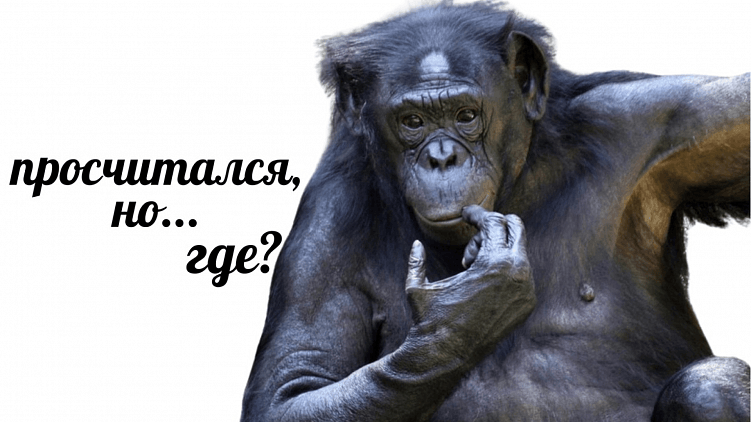 Вот для чего ритейлу нужно приложение на самом деле