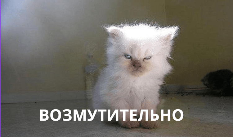 Как зайти с креативом в «ту дверь»? Как создать «правильную» концепцию рекламной кампании.