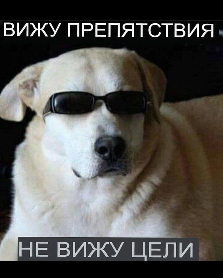 Где же деньги, Сеня? Исследуем корни низкой прибыли